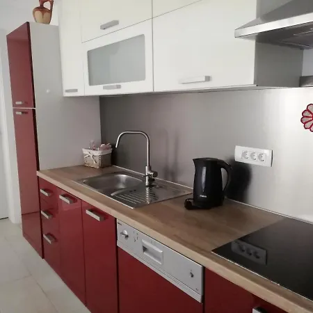 Apartment Arbutus Izola