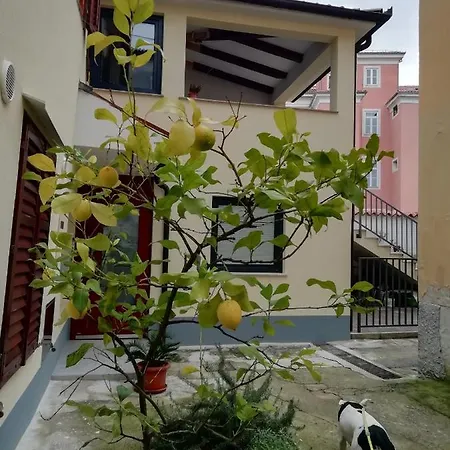 Apartment Arbutus Izola