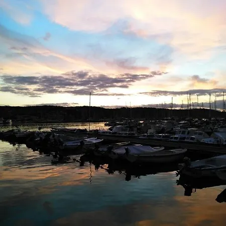 Arbutus * Izola