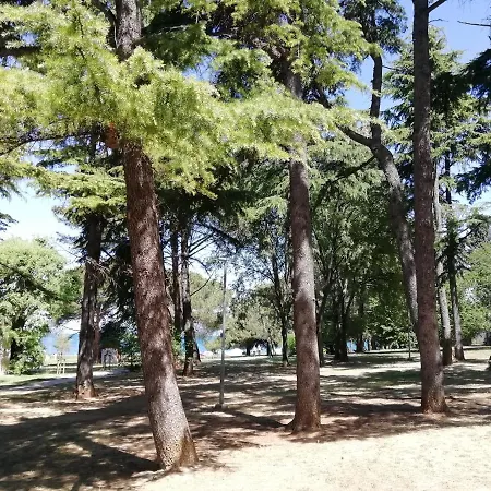 Apartment Arbutus