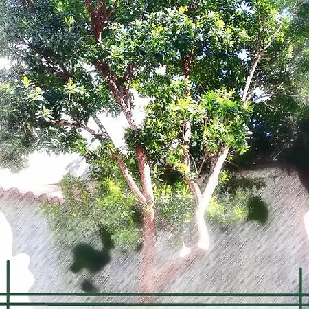 Arbutus Apartmán Izola