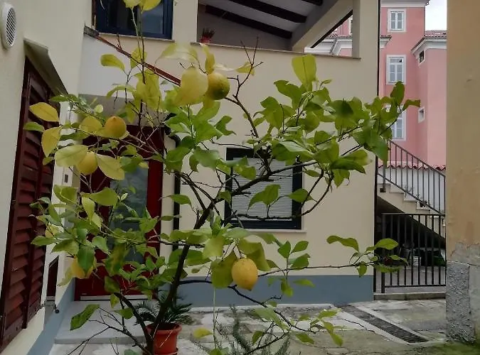 Appartement Arbutus Izola