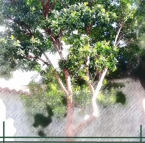 Arbutus Appartement Izola